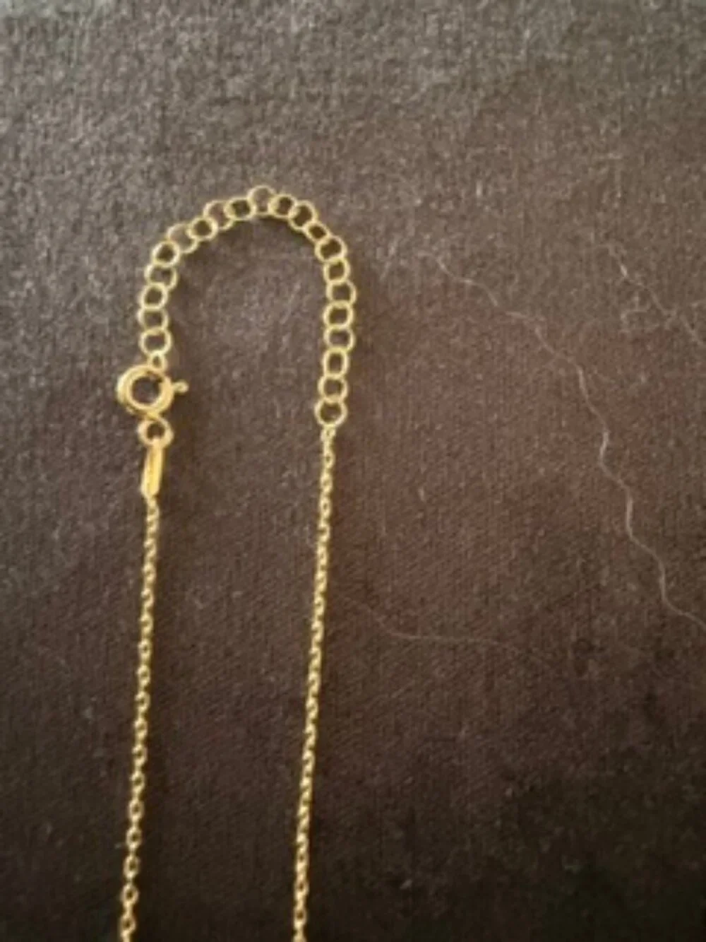 Horseshoe pendent necklace